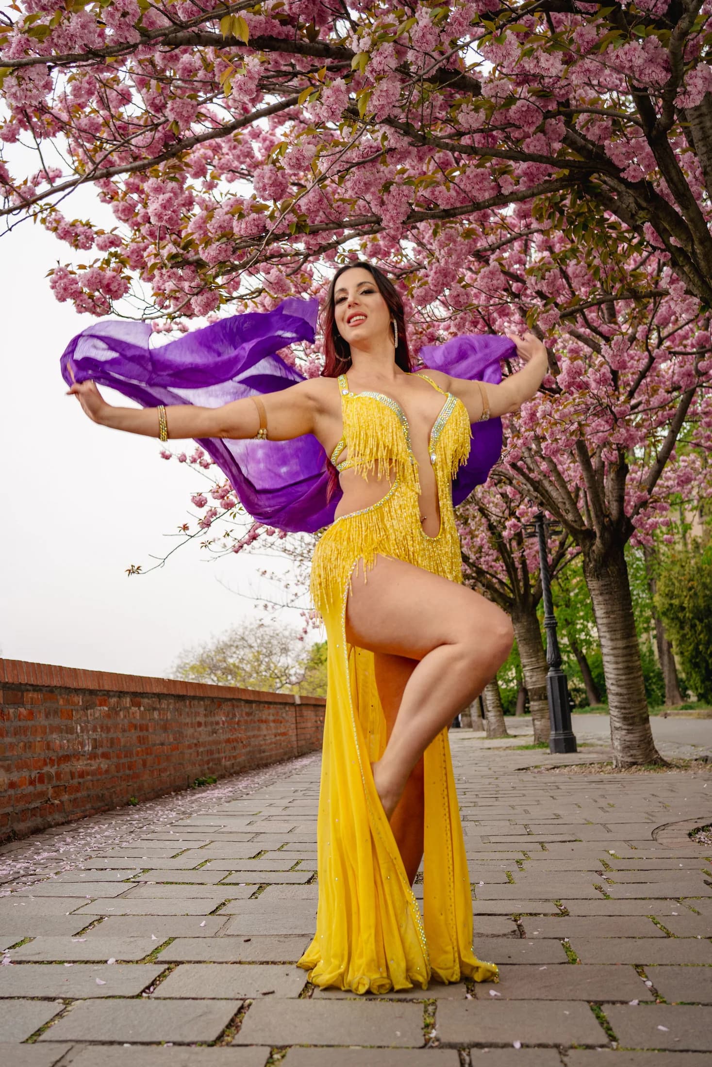 Safieh Szandra hastáncelőadás, portré